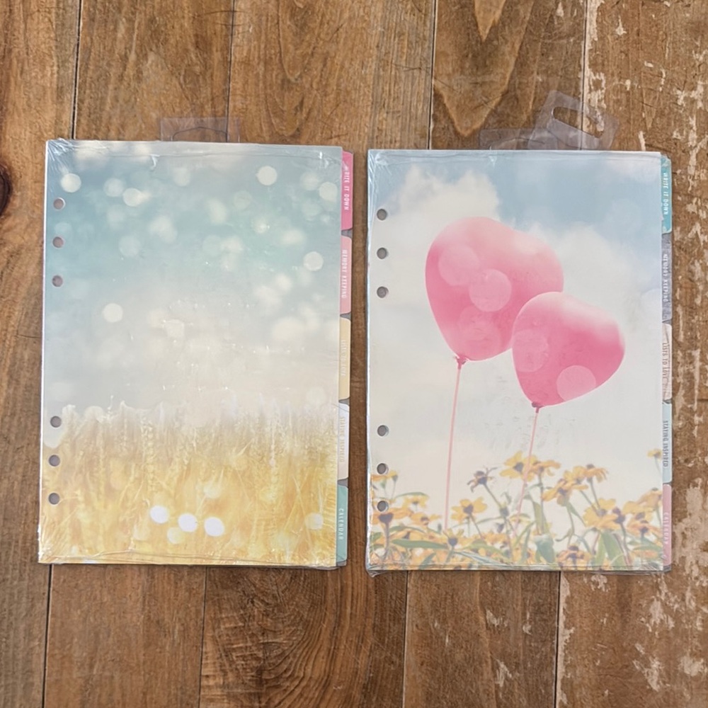 Webster Pages Colorful Planner Dividers with Balloons and Wheat Design NWT